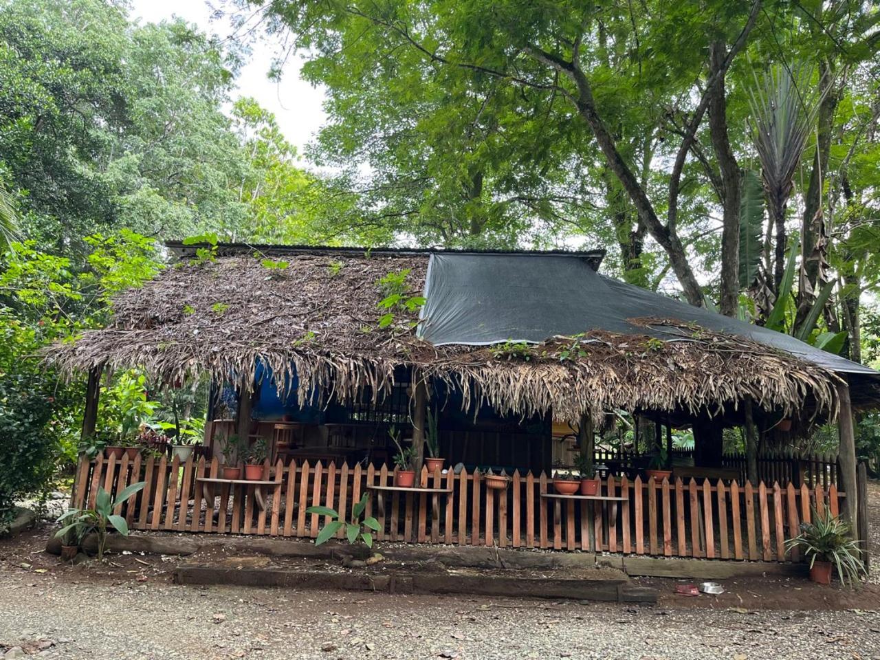 Gypsy Wagons Hotel ปาโวเนส ภายนอก รูปภาพ
